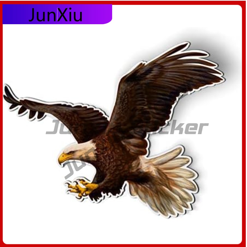 Bald Eagle American Eye Catchi - đánh giá và giá Laptop Accessories To Have